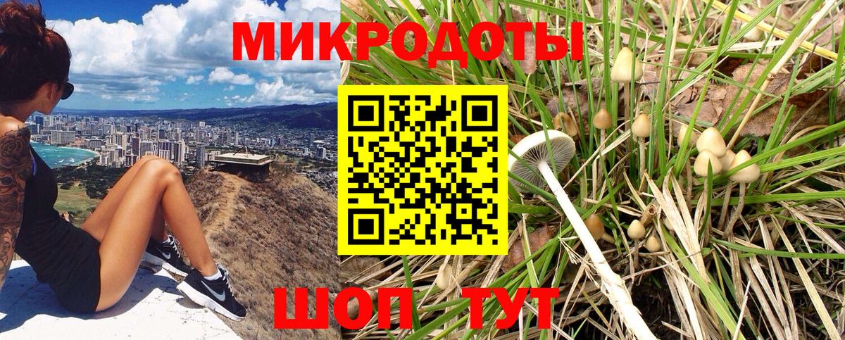 Галлюциногенные грибы мухоморы Костомукша